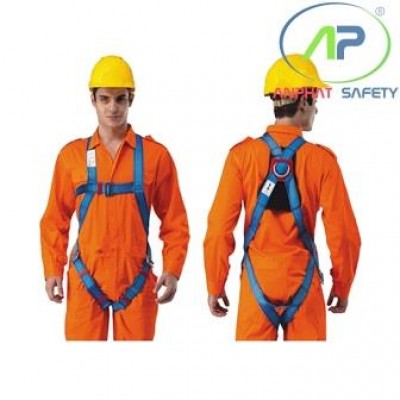 Dây đai toàn thân Proguard BH7886